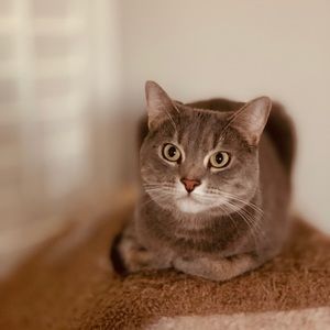 Meet your Posher, Kurt